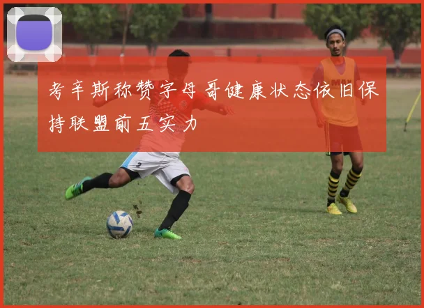 考辛斯称赞字母哥健康状态依旧保持联盟前五实力
